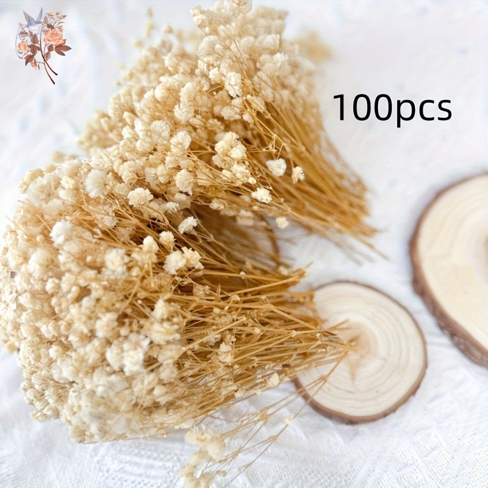 100개 미니 드라이 베이비스 브레스 꽃, 레진 공예  - Craft Embellishments 리뷰 및 가격